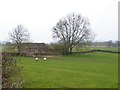 Barn near the Luham