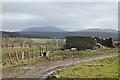 Ruin near Watchmuir