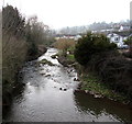 River Frome flows away from Petty Bridge, Bromyard