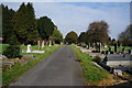 Cemetery off Sloe Lane, Beverley