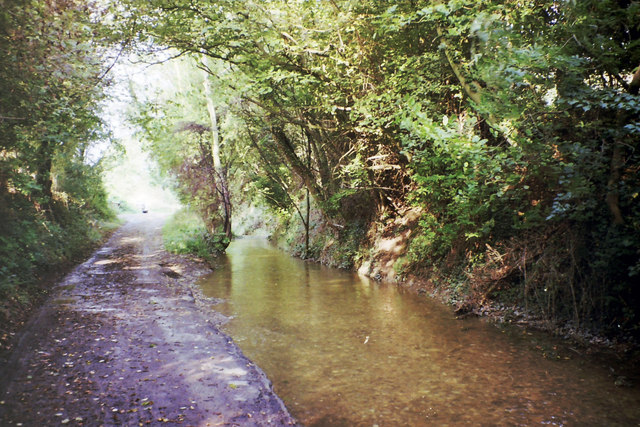 Violets Lane - with water - the North end.