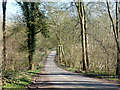 Lodge Lane, Chute Forest