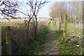 Path going north from Horsemere Green Lane