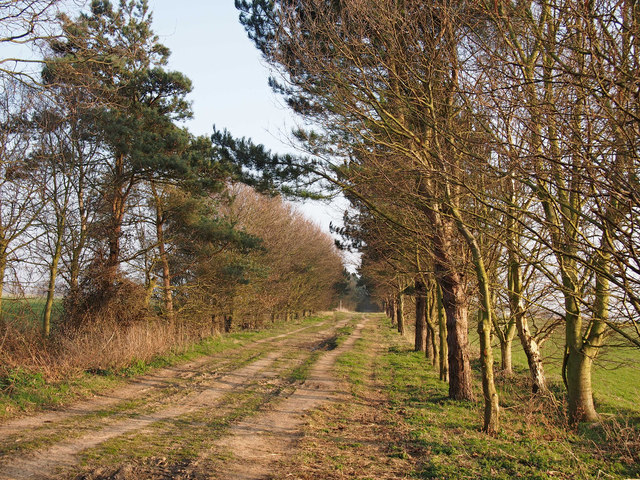 Avenue to Trimley Lower Street