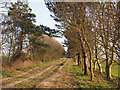 Avenue to Trimley Lower Street