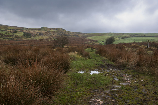 A muddy path across moorland