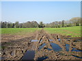 Footpath to Cherryhill