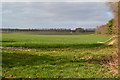 Sunlit field, looking towards Rockbourne Down