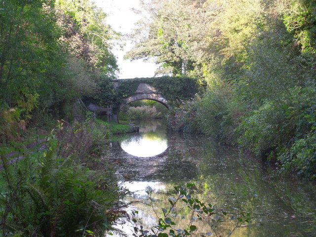 Macclesfield Canal, bridge 21