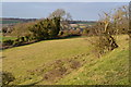 Afternoon sunlight at Coombe Bissett Down