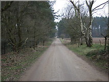 SK6263 : Bridleway beside Center Parcs Holiday Village  by JThomas