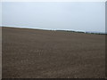 Farmland near Halfmoon Plantation