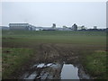 Farmland towards Thoresby Colliery