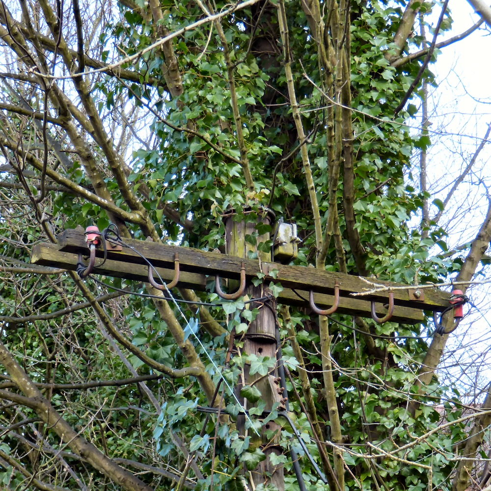 Top of an old telegraph pole © Gerald England cc-by-sa/2.0 :: Geograph ...