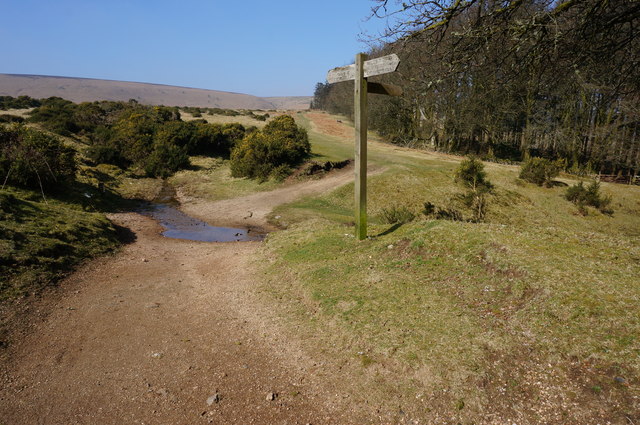 Start of a Bridleway near Natsworthy