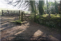 SX7280 : Start of the Bridleway towards Jay's Grave by jeff collins