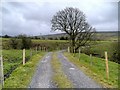 Track across Habergham Clough