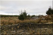 NS5745 : Whitelee Forest by Richard Webb