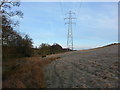 NZ0658 : Pylon and Electricity Transmission Lines next to Lynn Burn by Clive Nicholson