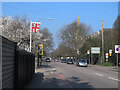 Stratheden Road on a spring day