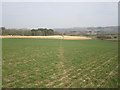 Path to Donington on Bain