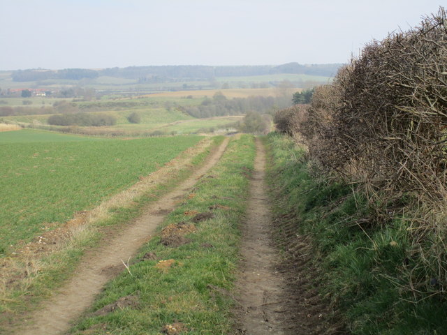Track to an old pit