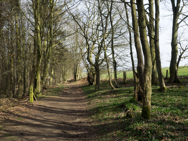 Path at southern edge of Rag Path Wood