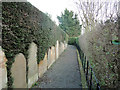 Rows of headstones from St Peter