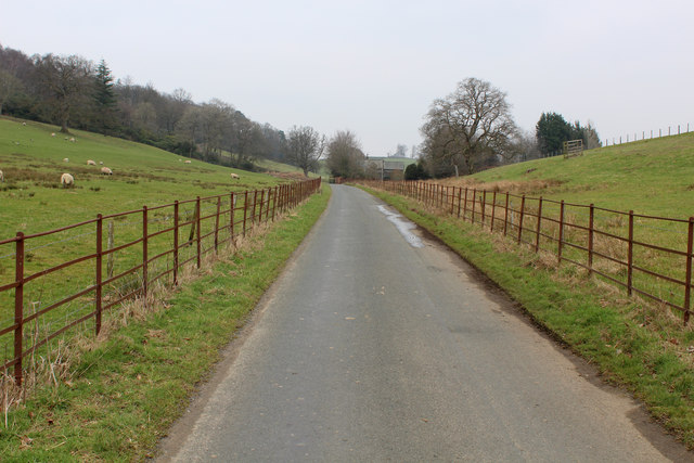 Road in Rigmaden Park