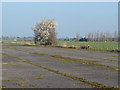 TQ0757 : Blackthorn, Wisley airfield by Alan Hunt