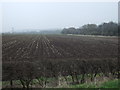 Farmland off the A6075