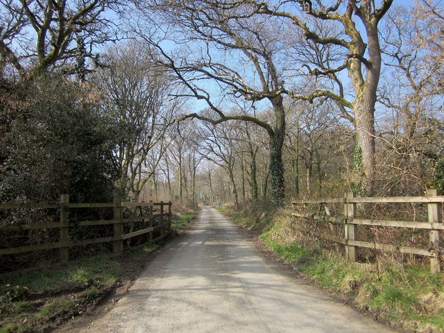 Lane to Penrose Green