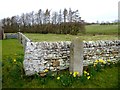 Millennium stone, Middleton