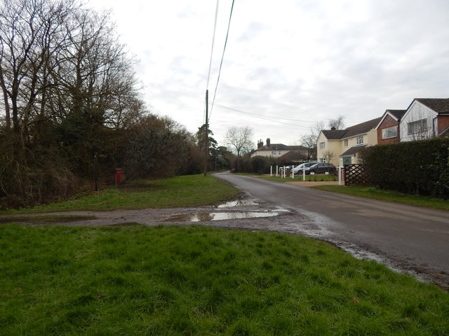 Path at Panfield © Hamish Griffin :: Geograph Britain and Ireland