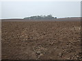 Farmland near Kirton