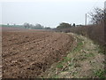 Farmland and hedgerow