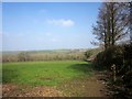 Field near Penrose Green