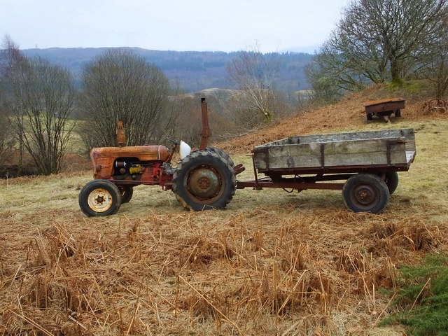 "David Brown" tractor and trailer at Muirshearlich