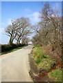 Lane near Higher Troswell