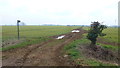 Footpath to Little Clanfield