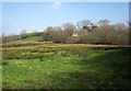 Rushy field, Caudworthy Bridge