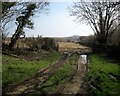 Field entrance east of Canworthy Water