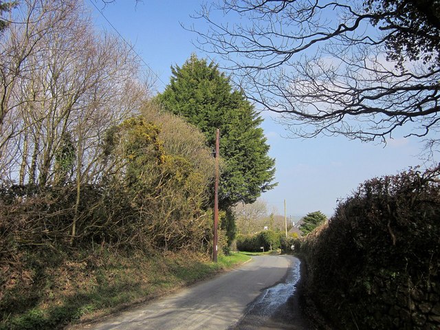Road, Fonston