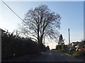 Hatch Lane, Old Basing