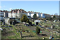 Allotments off Station Road