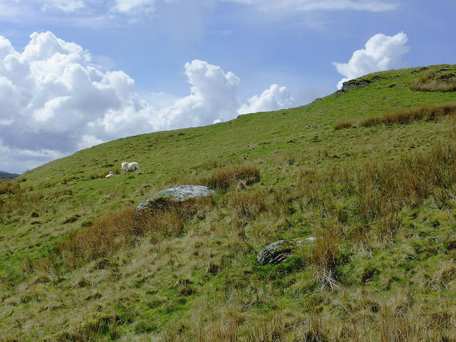 Hill Pasture East Of Pontrhydfendigaid, © Roger Kidd :: Geograph 