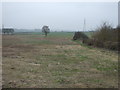 Farmland, Wellow