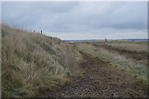 TR0567 : Muddy path near Shellness by N Chadwick