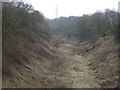 Disused railway cutting near Wellow