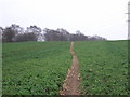 Footpath over fields